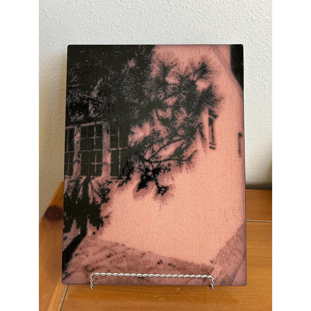 Fused Glass On‎ Glass Screen Print By Artist Kathy Engholm "Pine Shadows" 2017